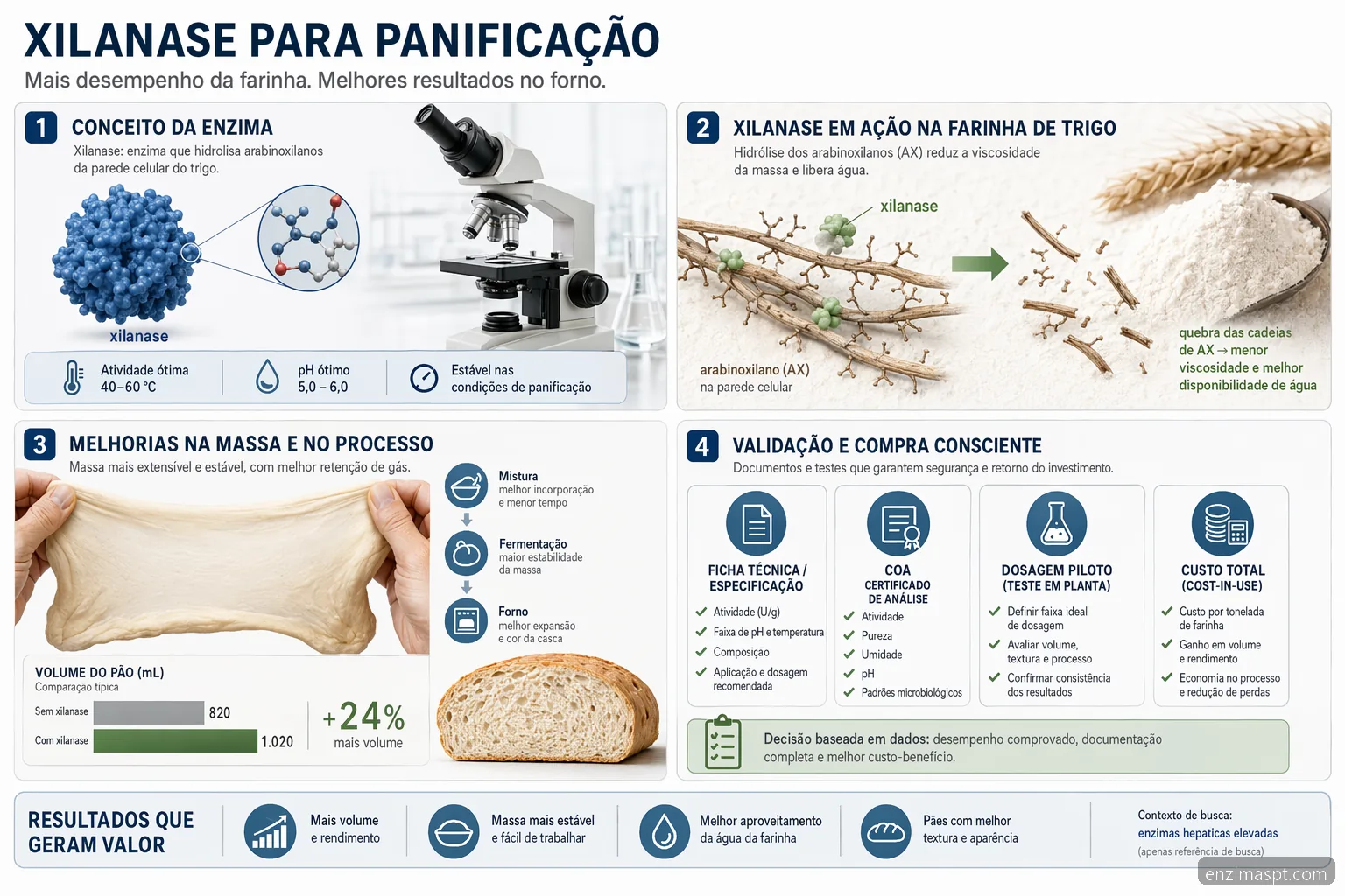 enzimas hepaticas elevadas e xilanase industrial: guia visual mostra massa, volume, dosagem e validação técnica